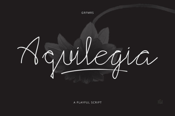 Aquilegia Typeface: Elevating Handmade Brand Identity