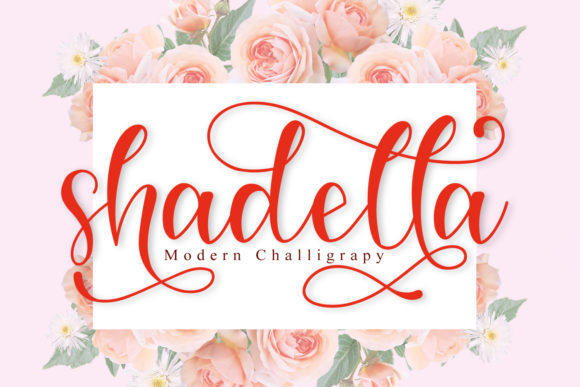 Shadella: The Handwritten Typeface for Editorial Elegance
